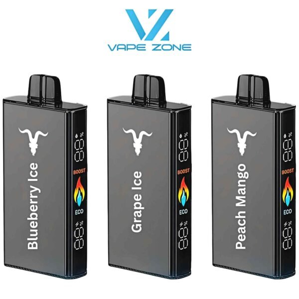 IGNITE V250 25K Puffs Disposable Vape 50mg in UAE